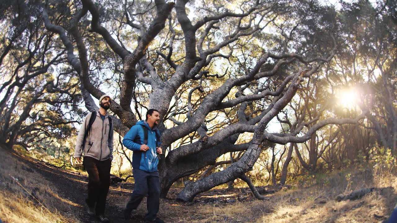 Outdoor & Recreation in San Luis Obispo