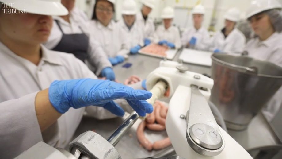 Take a look inside Cal Poly’s Meat Processing facility