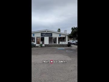 Visiting Wayward Baking in Los Osos with a $25 budget